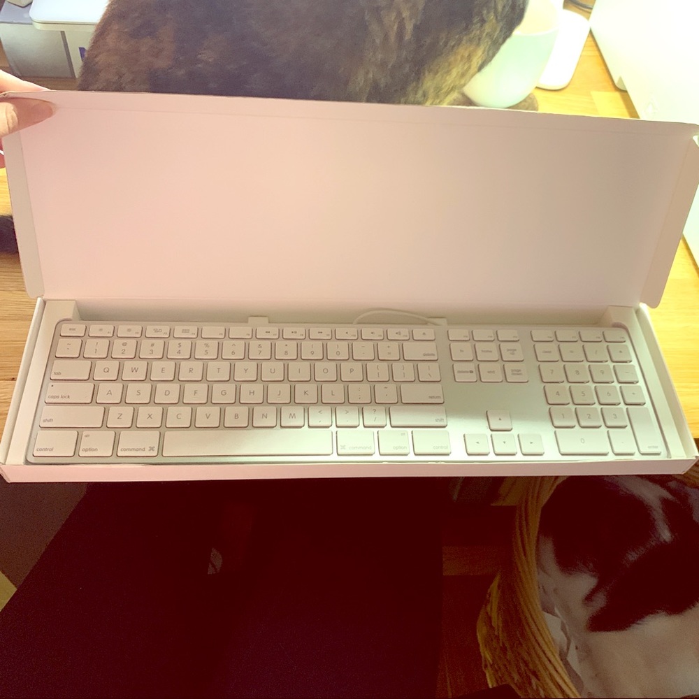 Apple USB Keyboard with Numeric Keypad